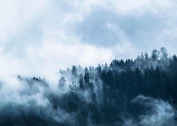 fog-g968918a13_1920